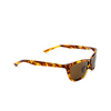 Balenciaga BB0403SK Sunglasses 002 havana - product thumbnail 2/5