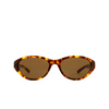 Balenciaga BB0404SK Sunglasses 002 havana - product thumbnail 1/4