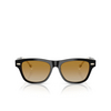Occhiali da sole Brunello Cucinelli BC3005S 1003B2 black - anteprima prodotto 1/3