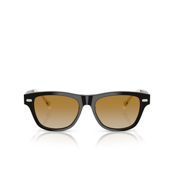 Occhiali da sole Brunello Cucinelli BC3005S 1003B2 black