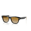 Occhiali da sole Brunello Cucinelli BC3005S 1003B2 black - anteprima prodotto 2/3