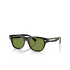 Brunello Cucinelli BC3005S Sunglasses 101552 havana mogano - product thumbnail 2/3