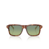 Brunello Cucinelli BC4014S Sunglasses 10064M havana / panama - product thumbnail 1/3