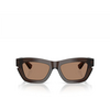 Gafas de sol Burberry BE4454 411673 brown - Miniatura del producto 1/4