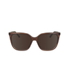 Calvin Klein CK24509S Sunglasses 203 striped brown / rose - product thumbnail 1/4