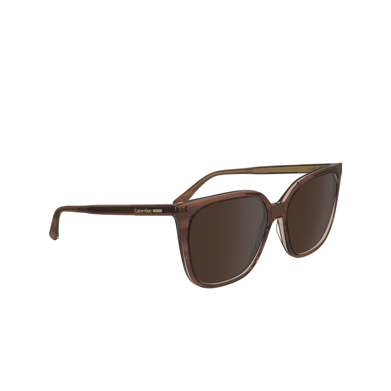 Calvin Klein CK24509S Sunglasses 203 striped brown / rose - 2/4
