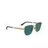 Calvin Klein CK25100S Sunglasses 716 light gold - product thumbnail 2/3