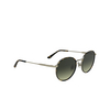 Lunettes de soleil Calvin Klein CK25101S 235 dark havana - Vignette du produit 2/3