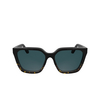 Lunettes de soleil Calvin Klein CK25500S 006 black / havana - Vignette du produit 1/3