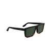 Occhiali da sole Calvin Klein CK25501S 006 black / havana - anteprima prodotto 2/3