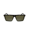 Occhiali da sole Calvin Klein CK25501S 235 dark havana / khaki - anteprima prodotto 1/3