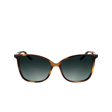 Lunettes de soleil Calvin Klein CK25504S 240 havana - Vue de face