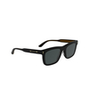 Occhiali da sole Calvin Klein CK25506S 001 black - anteprima prodotto 2/3