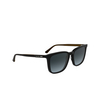 Calvin Klein CK25507S Sunglasses 001 black - product thumbnail 2/3