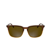 Occhiali da sole Calvin Klein CK25507S 203 striped brown - anteprima prodotto 1/3