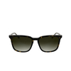 Occhiali da sole Calvin Klein CK25507S 235 dark havana - anteprima prodotto 1/3