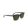 Calvin Klein CK25507S Sunglasses 317 striped khaki - product thumbnail 2/3