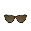 Occhiali da sole Calvin Klein CK25508S 233 havana / black - anteprima prodotto 1/3