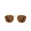 Cartier CT0012S Sonnenbrillen 002 gold - Produkt-Miniaturansicht 1/4