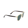 Cartier CT0012S Sunglasses 006 gold - product thumbnail 2/4