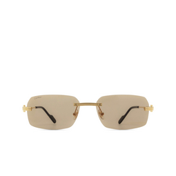 Cartier CT0271S Sunglasses 009 gold