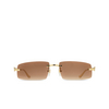 Cartier CT0505S Sunglasses 003 gold - product thumbnail 1/4