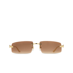 Cartier CT0505S Sunglasses 003 gold