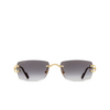 Cartier CT0550S Sonnenbrillen 001 gold - Produkt-Miniaturansicht 1/4