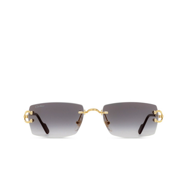 Cartier CT0550S Sunglasses 001 gold - front view