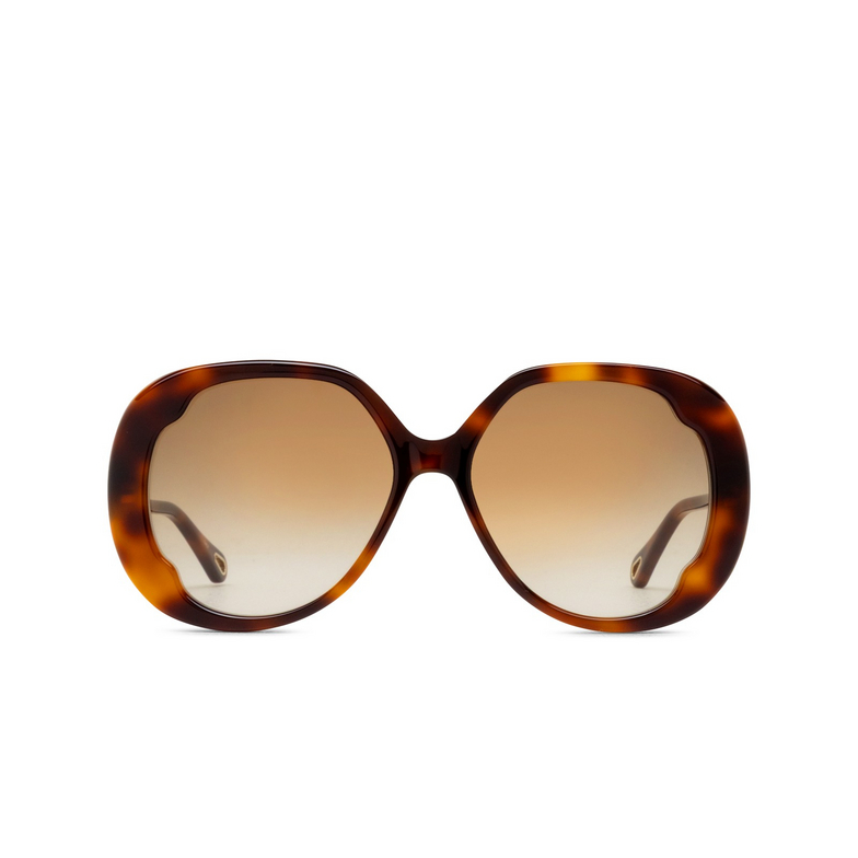 Gafas de sol Chloé CH0195S 002 havana - 1/4