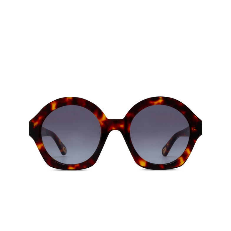 Occhiali da sole Chloé CH0302S rotondi 002 havana - 1/4