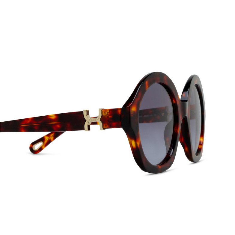 Occhiali da sole Chloé CH0302S rotondi 002 havana - 3/4
