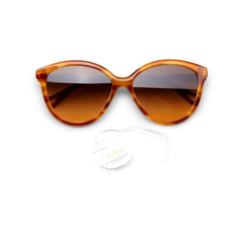 Chloé Zelie cateye Sunglasses 002 havana - 4/5