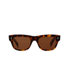 Cubitts ARGYLL Sunglasses ARG-R-LDA dark turtle - product thumbnail 1/4