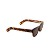 Cubitts ARGYLL Sunglasses ARG-R-LDA dark turtle - product thumbnail 2/4