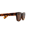 Cubitts ARGYLL Sunglasses ARG-R-LDA dark turtle - product thumbnail 3/4