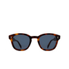 Cubitts CARNEGIE BOLD Sunglasses CAB-L-DAR dark turtle - product thumbnail 1/4