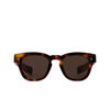 Cubitts CRUIKSHANK Sunglasses CRU-L-DAR dark turtle - product thumbnail 1/4