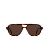 Cubitts EARLSFERRY Sunglasses EAR-L-DAR dark turtle - product thumbnail 1/4