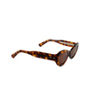 Cubitts FRITH Sunglasses FRI-L-LDA dark turtle - product thumbnail 2/4