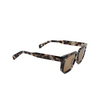 Gafas de sol Cutler and Gross 1410 SUN 02 grey havana - Miniatura del producto 2/4