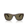 Dolce & Gabbana DG4338 Sunglasses 3200/3 green havana - product thumbnail 1/4
