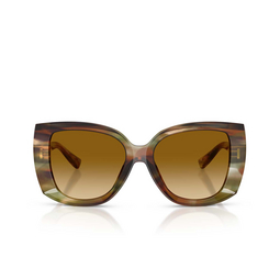 Occhiali da sole Dolce & Gabbana DG4495 34462L striped ochre