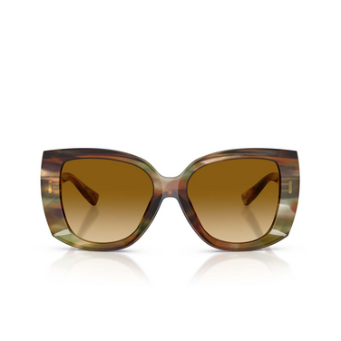 Dolce & Gabbana DG4495 Sunglasses 34462L striped ochre - front view