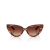Dolce & Gabbana DG4497 Sonnenbrillen 322113 striped brown - Produkt-Miniaturansicht 1/4