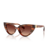 Dolce & Gabbana DG4497 Sonnenbrillen 322113 striped brown - Produkt-Miniaturansicht 2/4