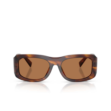Dolce & Gabbana DG4503 Sunglasses 306373 striped brown - front view