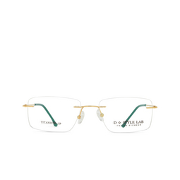 D.STYLE LAB DS25046 Eyeglasses C4