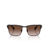 Gafas de sol Emporio Armani EA2087 339013 matte brown - Miniatura del producto 1/3