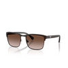 Gafas de sol Emporio Armani EA2087 339013 matte brown - Miniatura del producto 2/3